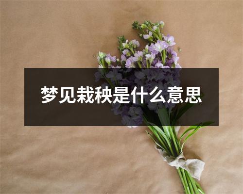 梦见栽秧是什么意思