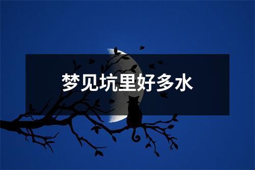 梦见坑里好多水