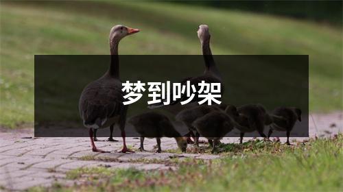 梦到吵架