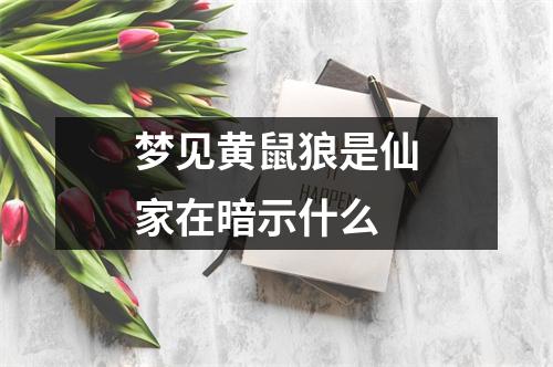 梦见黄鼠狼是仙家在暗示什么