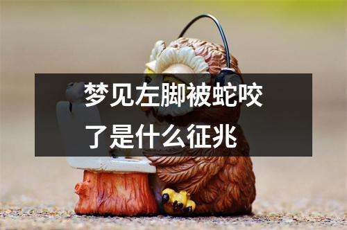 梦见左脚被蛇咬了是什么征兆