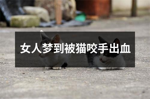 女人梦到被猫咬手出血