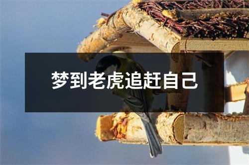 梦到老虎追赶自己