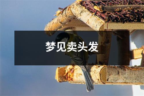 梦见卖头发