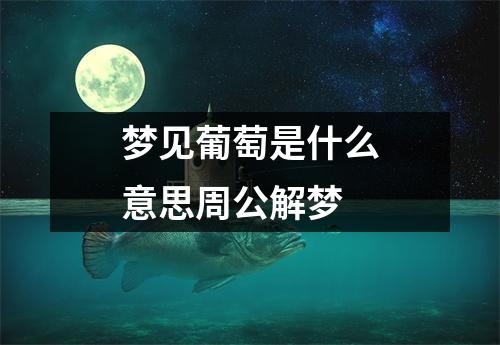 梦见葡萄是什么意思周公解梦