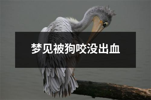 梦见被狗咬没出血