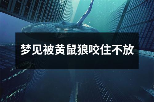 梦见被黄鼠狼咬住不放