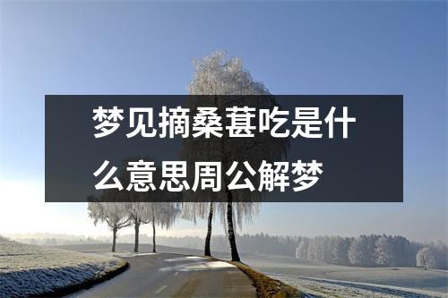 梦见摘桑葚吃是什么意思周公解梦