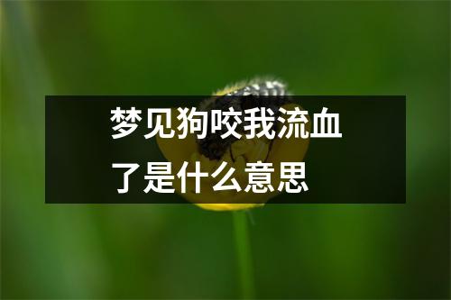 梦见狗咬我流血了是什么意思