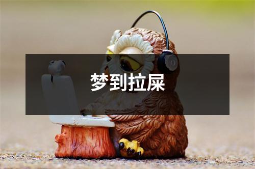 梦到拉屎