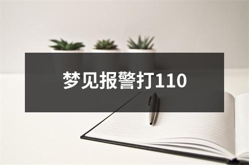 梦见报警打110