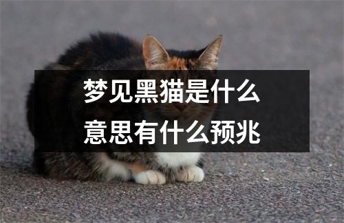 梦见黑猫是什么意思有什么预兆