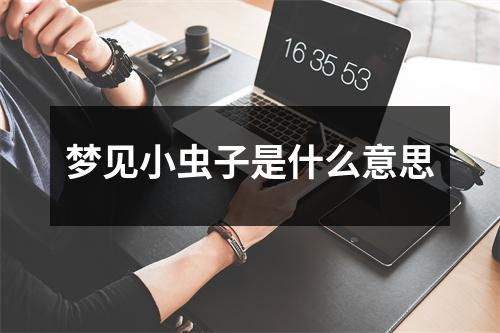 梦见小虫子是什么意思