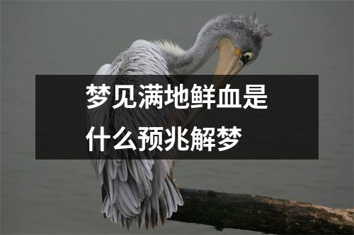 梦见满地鲜血是什么预兆解梦