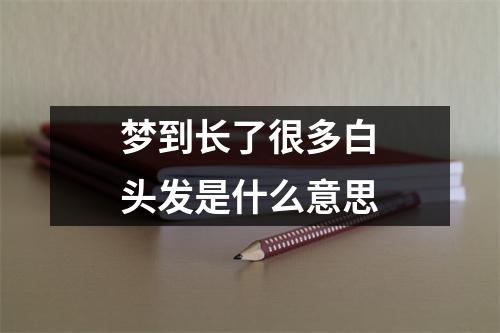 梦到长了很多白头发是什么意思