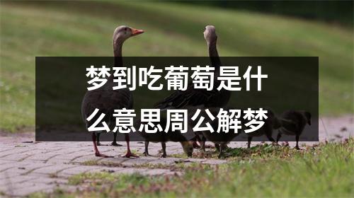 梦到吃葡萄是什么意思周公解梦