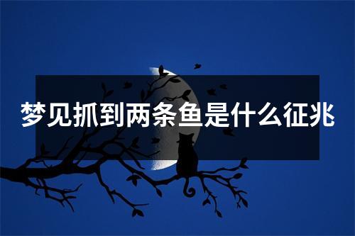 梦见抓到两条鱼是什么征兆