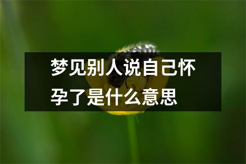 梦见别人说自己怀孕了是什么意思