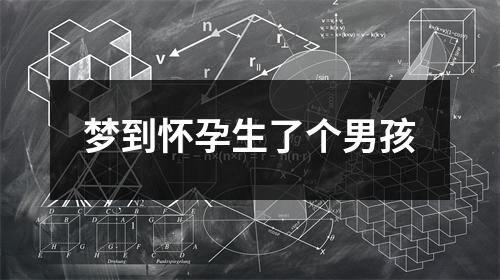 梦到怀孕生了个男孩