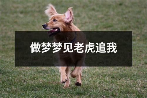 做梦梦见老虎追我