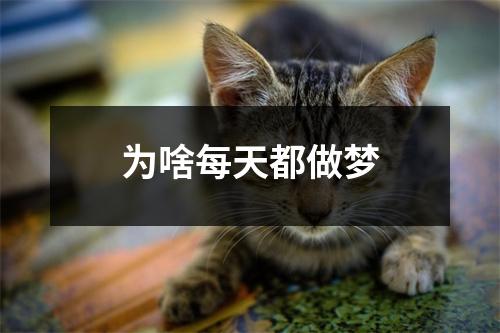 为啥每天都做梦