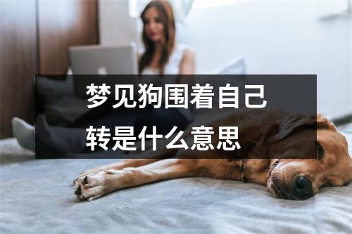 梦见狗围着自己转是什么意思