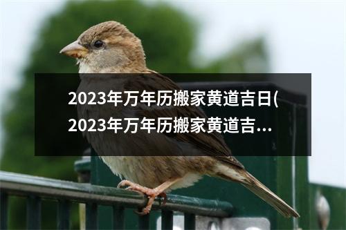 2023年万年历搬家黄道吉日(2023年万年历搬家黄道吉日大全，搬家黄道吉日查询及注意事项！)