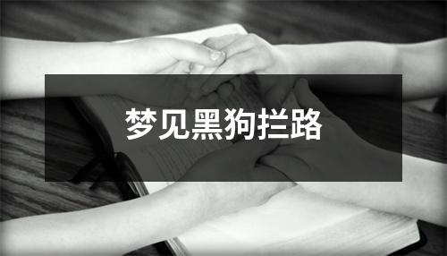 梦见黑狗拦路