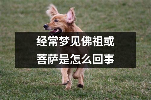 经常梦见佛祖或菩萨是怎么回事