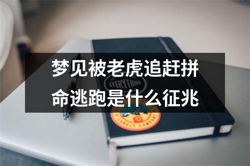 梦见被老虎追赶拼命逃跑是什么征兆