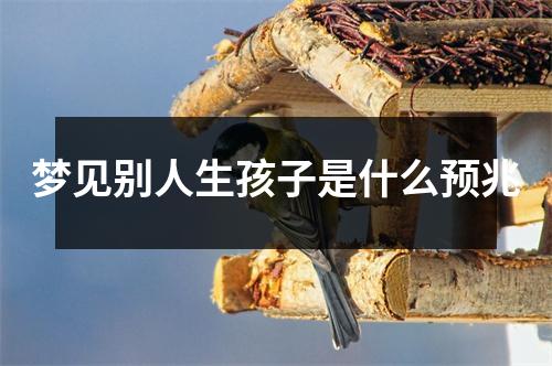 梦见别人生孩子是什么预兆