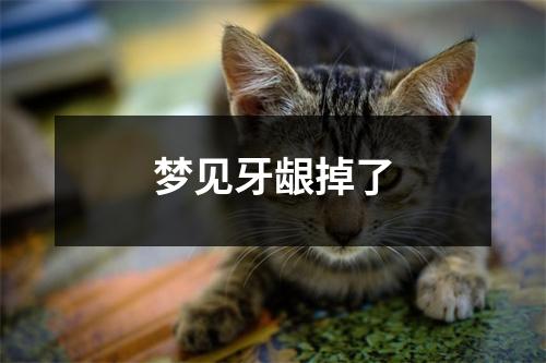 梦见牙龈掉了