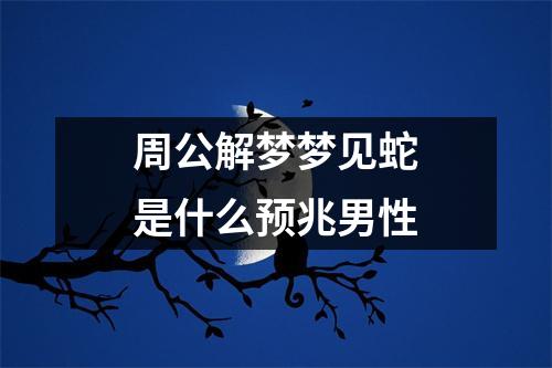 周公解梦梦见蛇是什么预兆男性