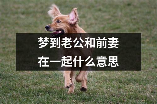 梦到老公和前妻在一起什么意思