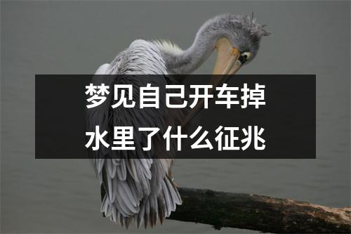 梦见自己开车掉水里了什么征兆