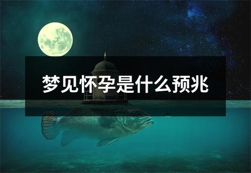 梦见怀孕是什么预兆