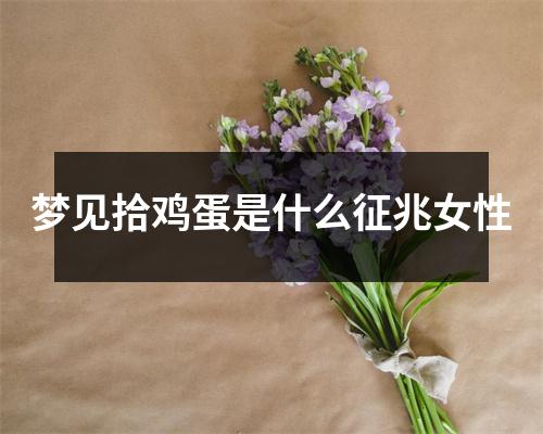 梦见拾鸡蛋是什么征兆女性