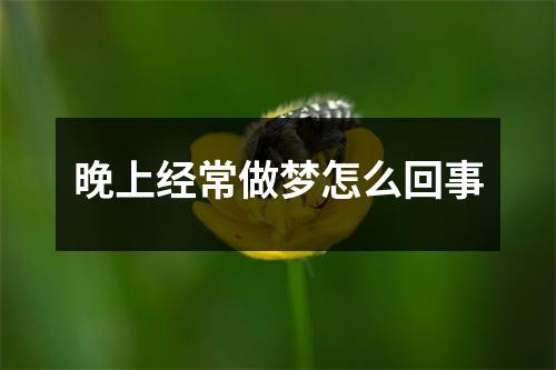 晚上经常做梦怎么回事