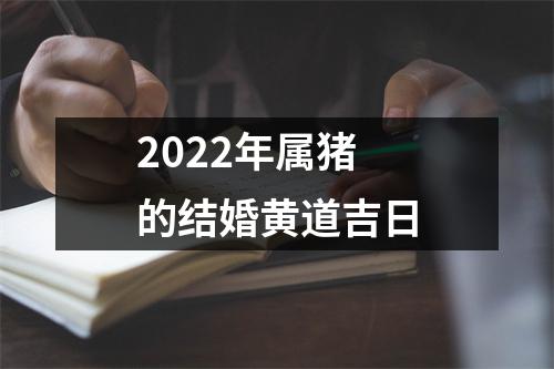 2022年属猪的结婚黄道吉日