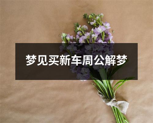 梦见买新车周公解梦