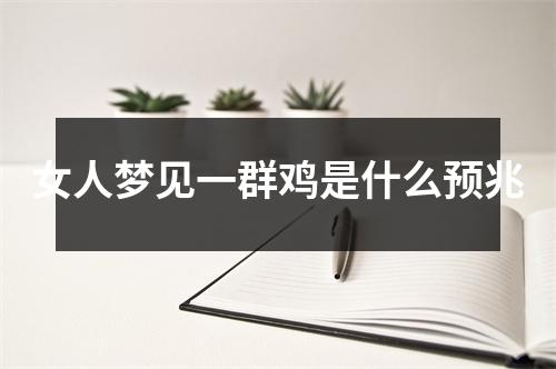 女人梦见一群鸡是什么预兆