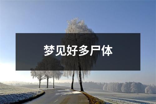 梦见好多尸体