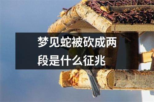 梦见蛇被砍成两段是什么征兆