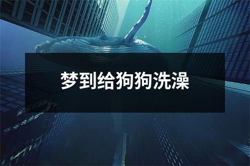 梦到给狗狗洗澡