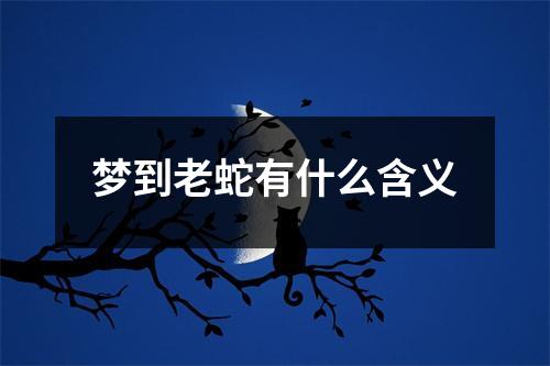 梦到老蛇有什么含义