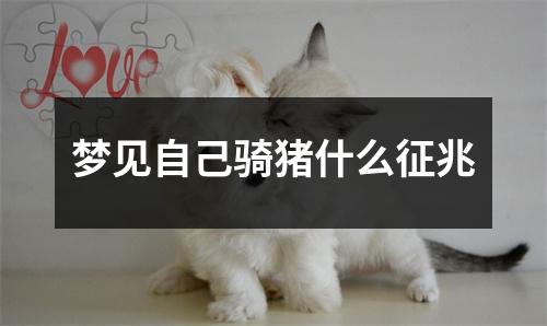 梦见自己骑猪什么征兆