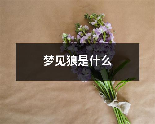 梦见狼是什么