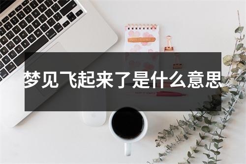 梦见飞起来了是什么意思