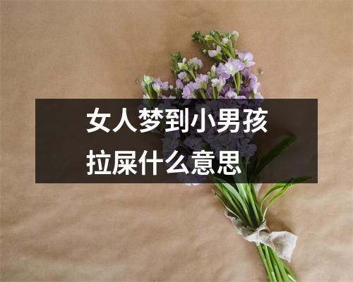 女人梦到小男孩拉屎什么意思