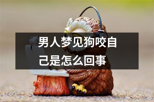 男人梦见狗咬自己是怎么回事